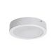 Rabalux Ugradna i nadgradna rasveta Shaun2 LED 24W bela (71194) - RAS002551A00000