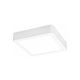 Rabalux Ugradna i nadgradna rasveta Shaun2 LED 24W bela (71197) - RAS002464A00000