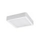 Rabalux Ugradna i nadgradna rasveta Shaun2 LED 24W bela (71197) - RAS002464A00000