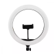 Selfie LED Ring light BD-330 sa stalkom - 051895