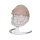 CHIPOLINO Njihalica Brida macadamia - SHEBR0242MA