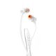 JBL Slušalice za telefon T110, T110WHT, bela - SL1322