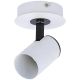 GRUNDIG Plafonska Lampa GU10 Max 50W - 99934-1
