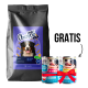SMART CHOICE Suva hrana za pse Active 12kg + Gratis FRENDI Konzerva 2 x 400g - 3360152