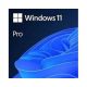 MICROSOFT Windows 11 Pro 64bit Eng Intl OEM (FQC-10528) - SOF01128