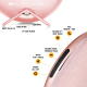 Bluetooth zvučnik Jonter M16 BTSM1/ 16 pink - 046156