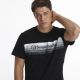 SERGIO TACCHINI Majica kratak rukav stripe t shirt M - STA251M811-01