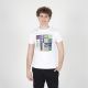 SERGIO TACCHINI Majica kratak rukav modulo verde t-shirt M - STA261M801-10