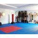 RING Tatami strunjaca puzzle (100x100x2) RX 3019B - 1991