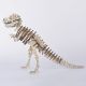 3d drvena slagalica - Tiranosaurus - 49-1
