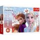 TREFL Puzzle Disney Frozen II Anin i Elsin začarani svet - 60 delova - T17333