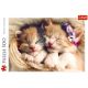 TREFL Puzzle Mace koje spavaju - 500 delova - T37271