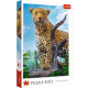 TREFL Puzzle 500 delova Divlji leopard - T37332