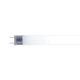 HOME Fluo cev za zamku za insekte 18W IKM150 T8-F18W-BL - EP3142291
