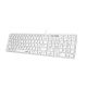 GENIUS SlimStar 126 USB US bela tastatura - EP3059737