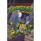 TMNT: Heroji u oklopu - 9788661660078