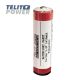 TELIT POWER Li-ion baterijski paket 3,6 V 3450 mAh Panasonic NCR18650GA sa zaštitom - EP3283929