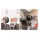 Blender Bosch MMB2111S /450W/srebrna - EP2940820