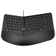Ergonomska tastatura Genius KB-700 USB YU Crna - EP2895094