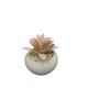 DEKOR DOM Cvet u saksiji - SUCCULENT CUBE 321 - N44 - 024276