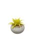 DEKOR DOM Cvet u saksiji - SUCCULENT CUBE 321 - N44 - 024276