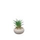 DEKOR DOM Cvet u saksiji - SUCCULENT CUBE 321 - N44 - 024276