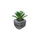 DEKOR DOM Cvet u saksiji - SUCCULENT ROUND 123 - N44 - 024274
