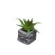 DEKOR DOM Cvet u saksiji - SUCCULENT ROUND 123 - N44 - 024274