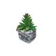 DEKOR DOM Cvet u saksiji - SUCCULENT ROUND 123 - N44 - 024274