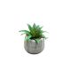 DEKOR DOM Cvet u saksiji - SUCCULENT ROUND 456 - N44 - 024275