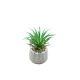 DEKOR DOM Cvet u saksiji - SUCCULENT ROUND 456 - N44 - 024275