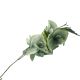 DEKOR DOM Cvet ORCHID SPRIG - N59 - EP2626307