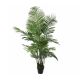 DEKOR DOM Drvo u saksiji ARECA PALM 160cm 1026427 - EDL - EP2880681