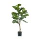 DEKOR DOM Cvet u saksiji - FICUS A1026 - N60 - EP2880150