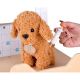 gračka za dečiju veterinarsku kliniku KINDER HOME – drveni veterinarski centar - EP2988370