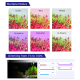 Nanobit WeekAqua LED lampa Mini 9 Pro - EP3105288