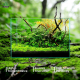 Nanobit WeekAqua Ultra Clear akvarijum 45C 45x45x45cm x8mm 91L - EP3105270