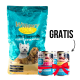 WILLOWY Suva hrana za mačke Gold Small&Mini Adult 10kg + Gratis 2 x FRENDI Konzerva 400g - 3360155