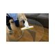 KARCHER Usisivač za prozore WV 2 Universal Care - EP3199442