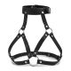 Harness za grudi - EP3175188