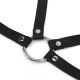 Harness za grudi - EP3175188