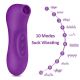 Vibrator za sisanje klitorisa, 10 brzina LJUBIČASTI - EP3137020