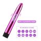Bullet vibrator (18 cm) SIVI - EP3175407