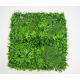 BOLZZ Zeleni zid 100x100cm 3D Amazon 1 - BOLZZIDAMA1