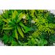 BOLZZ Zeleni zid 50x50cm 3D Forest - BOLZZIDFOREST