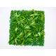BOLZZ Zeleni zid 50x50cm 3D Grass - BOLZZIDGRASS