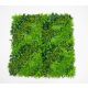BOLZZ Zeleni zid 100x100cm 3D Lux - BOLZZIDLUX