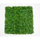 BOLZZ Zeleni zid 100x100cm 3D Tara 2 - BOLZZIDTAR2