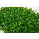 BOLZZ Zeleni zid 40x60cm 3D Wild - BOLZZIDWILD