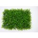 BOLZZ Zeleni zid 40x60cm 3D Wild - BOLZZIDWILD